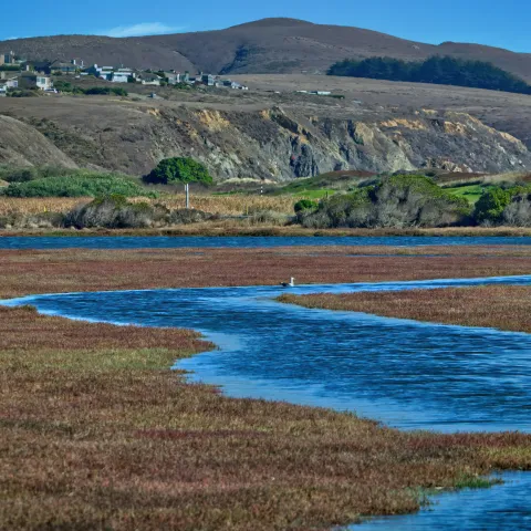 Photo of creek by Simon Hurry