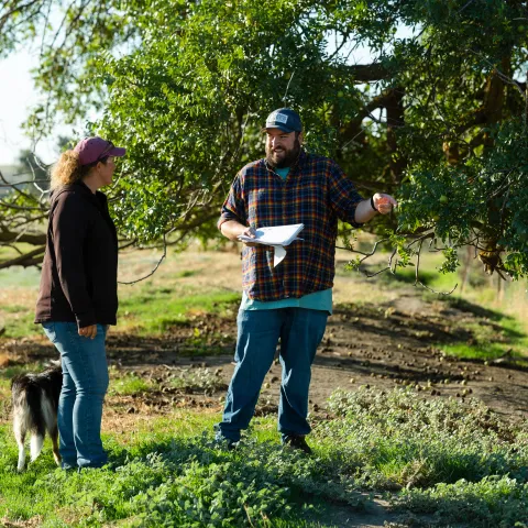 Two people standing on a ranch, shaded by a large tree.