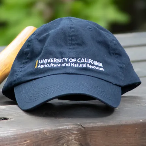 UCANR Hat and shears laying on a wood table