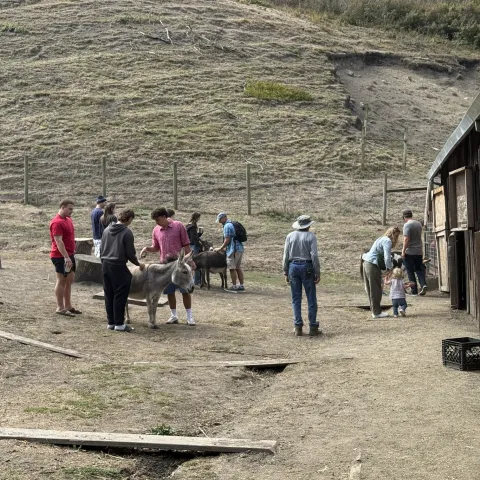 People pet Sassy the donkey while others pet goats next to a barn