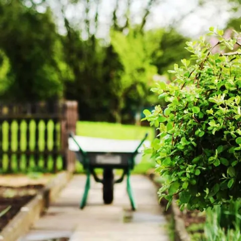 Gardening in Small Spaces - Yorba Linda