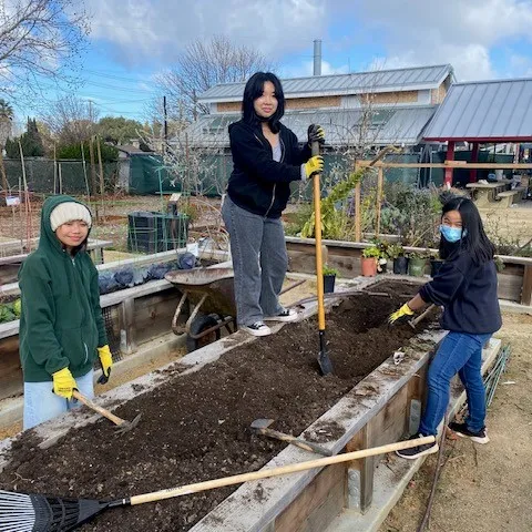 Young people preparing the garden bed to plant