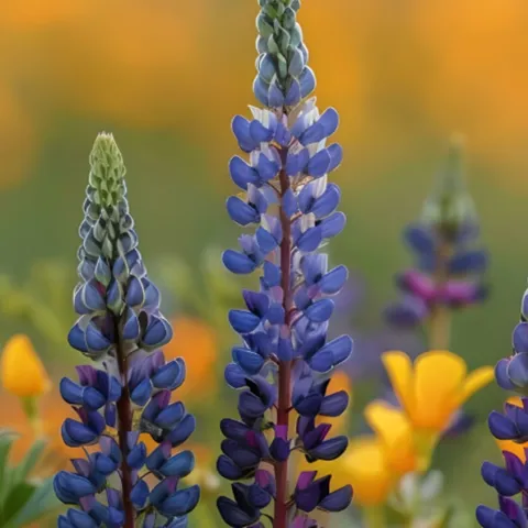 learn to increase garden biodiversity for a healthy ecosystem