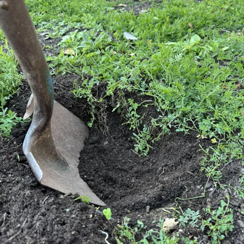 spade, soil digging
