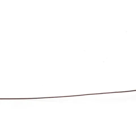 Megarhyssa atrata by Sloan Tomlinson