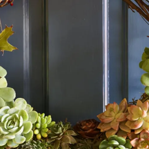 Learn how to make a succulent wreath for winter