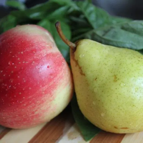 still life of a blushing red apple and a green pear