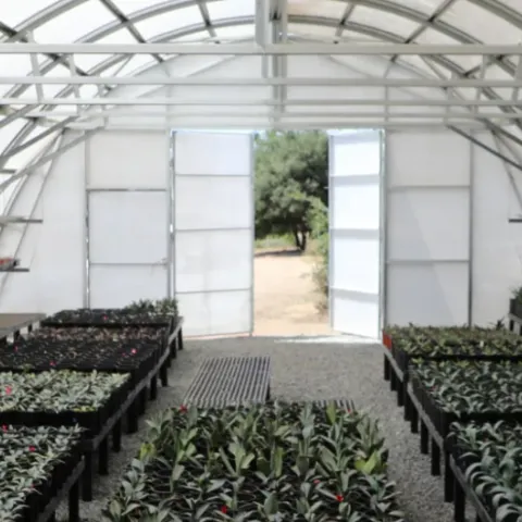 foto de un invernadero