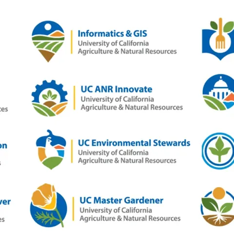 Screenshot of new logos