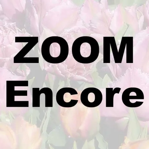 Beautiful Bulbs Made Easy - Mission Viejo