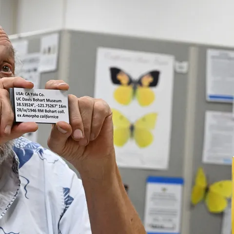 Forensic entomologist Robert Kimsey explaining the importance of labeling. (Photo by Kathy Keatley Garvey)