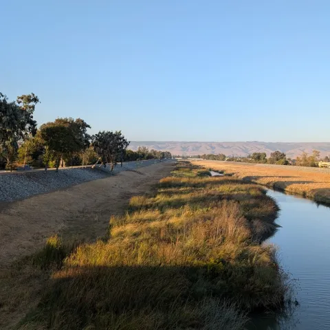 Coyote Hills - East Bay