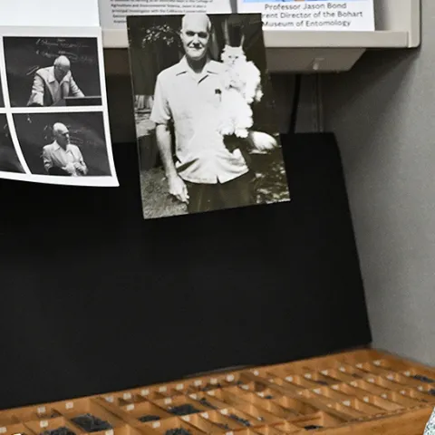 UC Davis Distinguished Professor Emerita Lynn Kimsey. (Photo by Kathy Keatley Garvey)