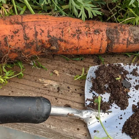 monthly food garden tips for Sonoma County