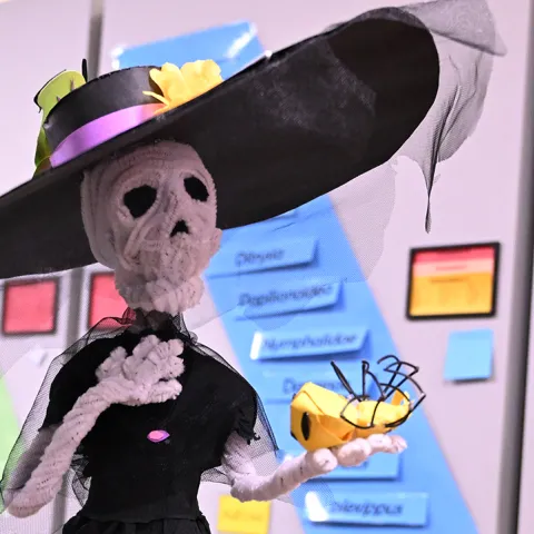 A witch at the Bohart Museum of Entomology's Halloween party.