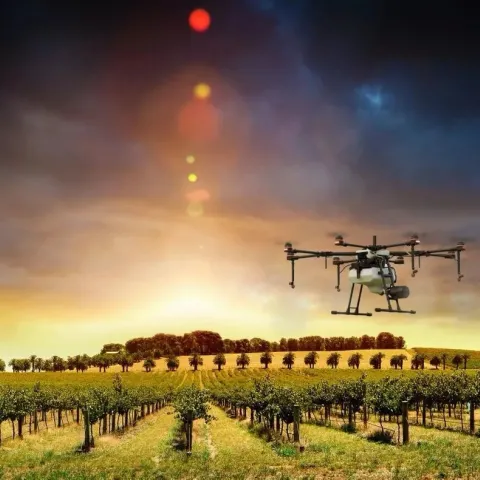 Photo illustration of a spray drone hovering over a orchard