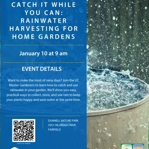 Collect rainwater for your garden