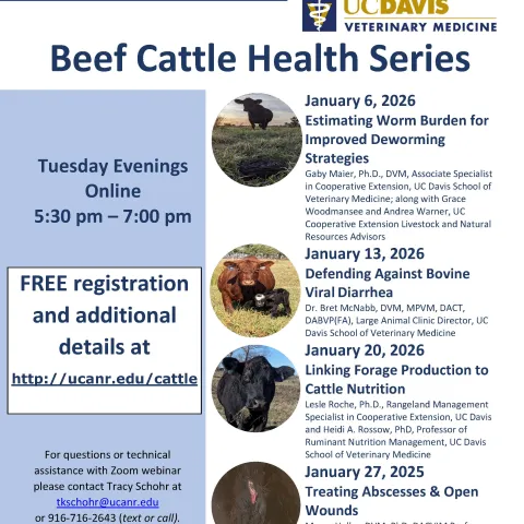 Beef Cattle Health Series Flyer on Upcoming Events 