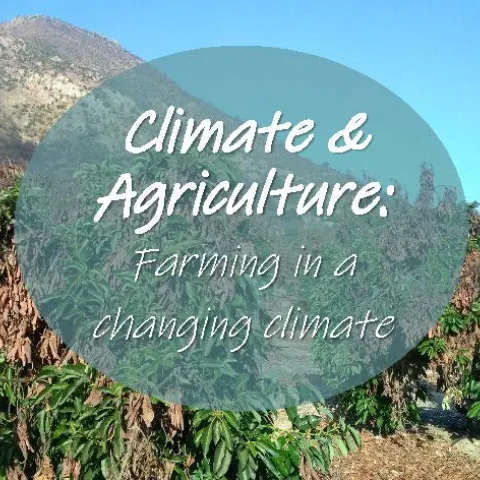 Orchard and mountains words Climate & Agriculture