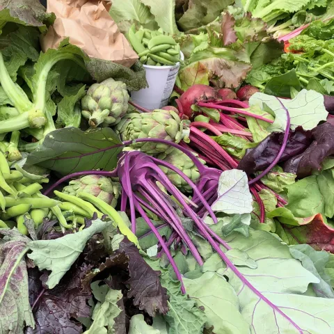 Cool season veggies, C Simpson