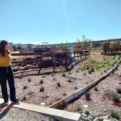 UCCE Advisor standing at raised area next to subdivided bioswale