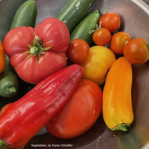 Vegetables, by Karen Schaffer_0.jpg