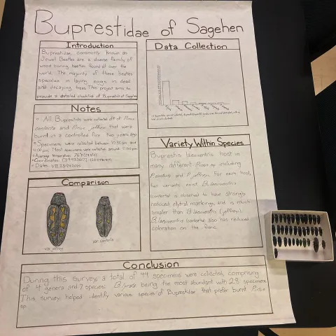 Research paper of Cole Kramer and Connor Hsu.