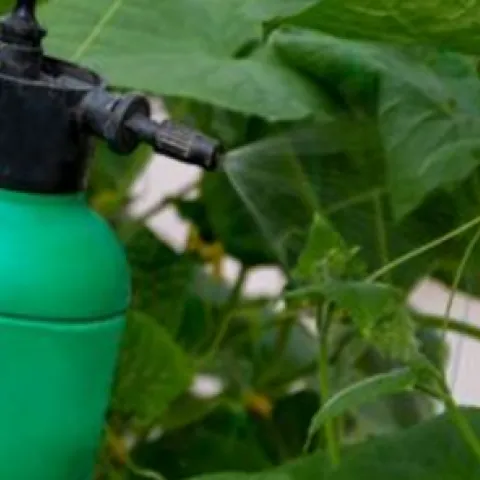 fish emulsion applicator