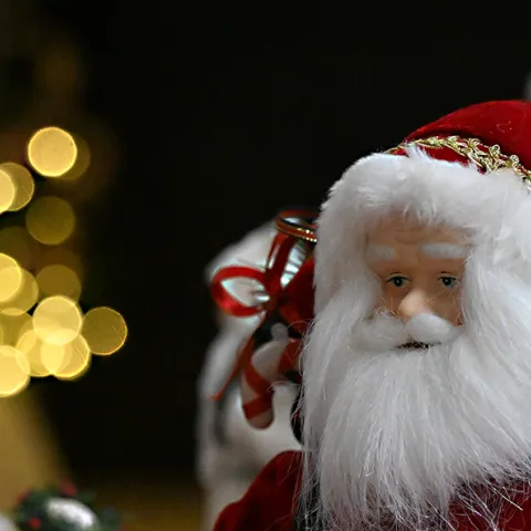 Santa Claus (Photo by Kathy Keatley Garvey)