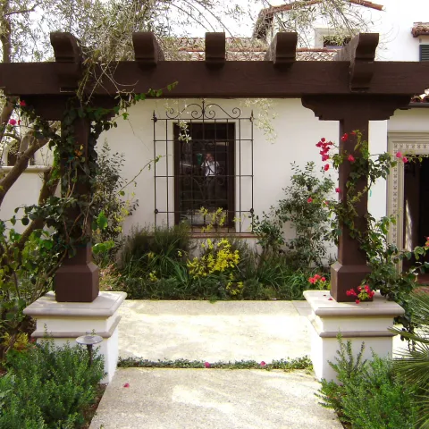 an arbor in front of a window showcases a variety of plants and plant heights