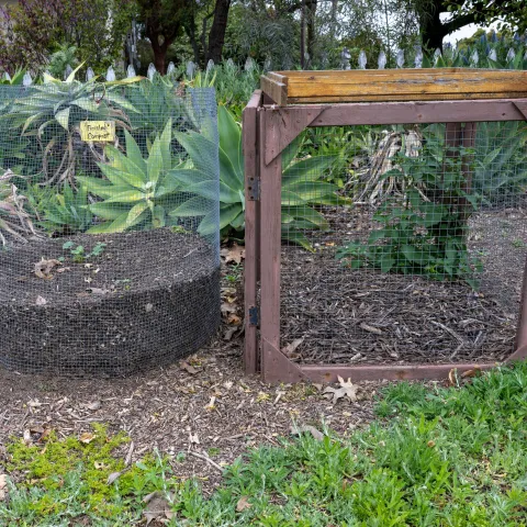 Green waste compost piled in a wire mesh container, next to mulch in a wood framed wire container.