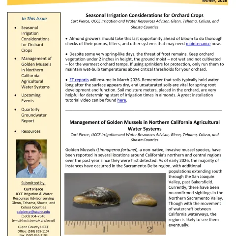 Glenn County UCCE Sacramento Valley Water Newsletter - Winter 2026