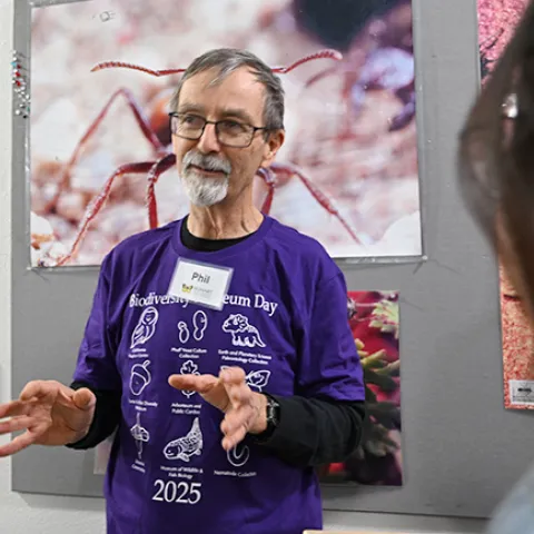 UC Davis Professor Phil Ward discussing ants at the Bohart Museum of Entomology during the 2025 UC Davis Biodiversity Museum Day. (Photo by Kathy Keatley Garvey)