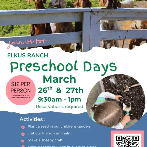 2026_Preschool Days Flyer