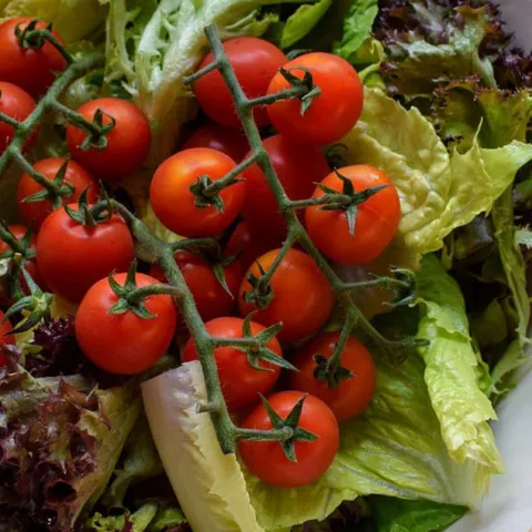 Salad Bowl Garden - Irvine