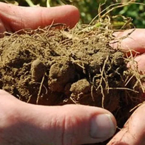 Soil-The Foundation of Your Garden - Laguna Woods