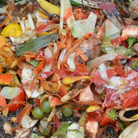 Composting 101 - Fullerton