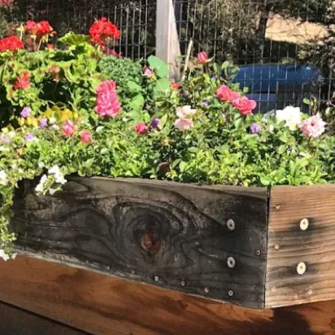 Busy Gardener Month-to-Month - Westminster