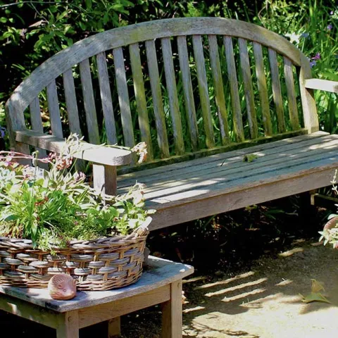 Right Plant: Right Place - Huntington Beach