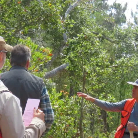 California Stewardship