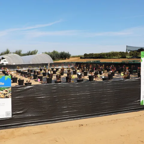 Urban Ag Demonstration Site