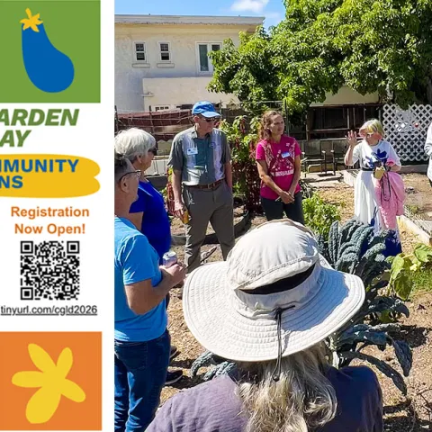 People standing and working in community gardens, plus a colorful flier image with event information.