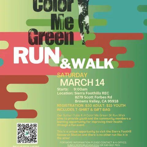 2026 Color Me Green 5K