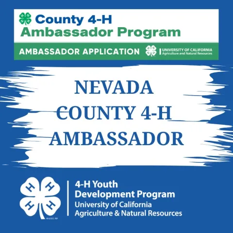 Graphic with County Ambassador logo