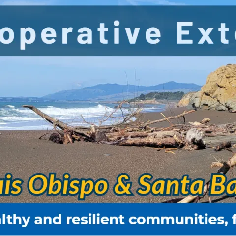 February 2026 UCCE SLO and SB Newsletter Header