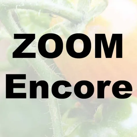 Terrific Tomatoes - ZOOM 