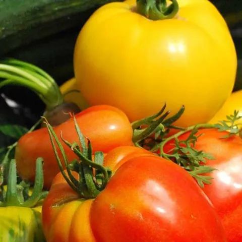 Grow it Now: Warm Season Vegetables - Fullerton