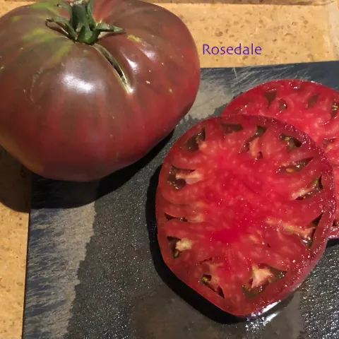 Photo of a Rosedale tomato.