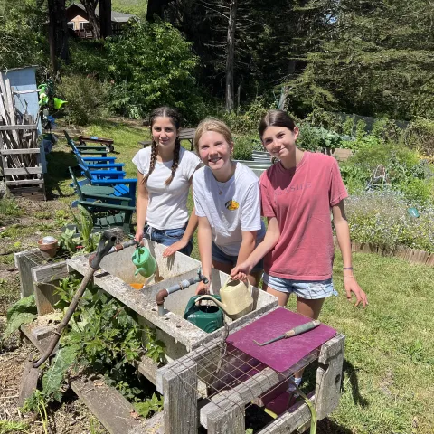 Volunteers doing projects