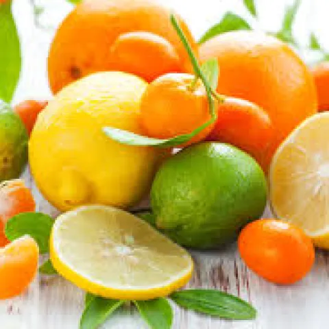 Citrus4